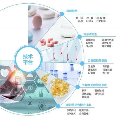 制劑CDMO一站式服務(wù)與信息技術(shù)咨詢 技術(shù)開發(fā)與GMP生產(chǎn)的完美融合